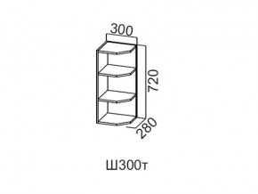 Ш300т/720 Шкаф навесной 300/720 (торцевой) в Каслях - kasli.магазин96.com | фото