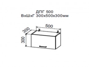 Шкаф верхний ДПГ500 горизонтальный в Каслях - kasli.магазин96.com | фото