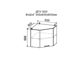 Шкаф верхний ДПУ600 угловой в Каслях - kasli.магазин96.com | фото